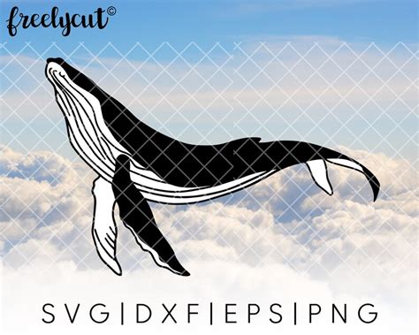 Whale Svg Cut File Template For Cricut Silhouette Cutting Etsy