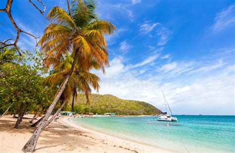 Idyllic Beach At Caribbean Stock Photo Image Of Mayreau 149398452