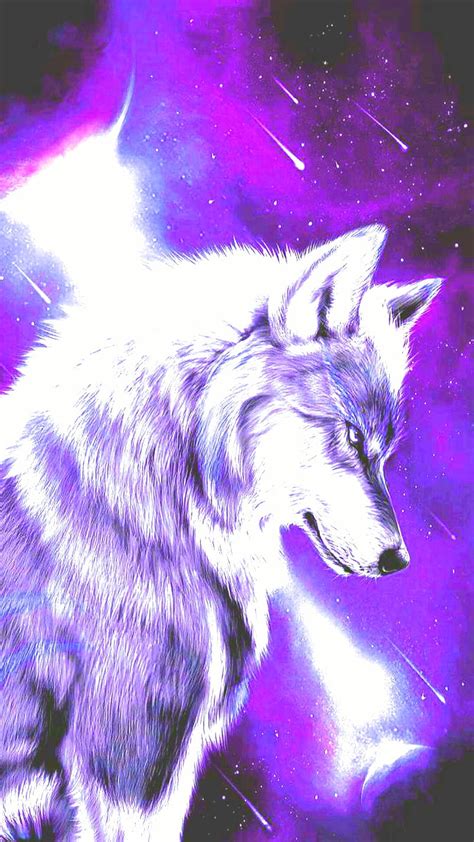 720p Free Download Wolf Animal Animal Wolf Light Wolf Moon Wolf