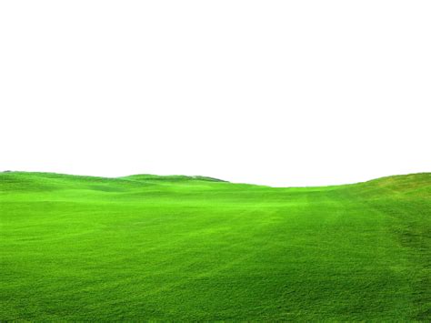 Grass Png Pic Png All