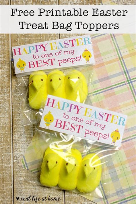 Cute Free Printable Toppers For Easter Treat Bags