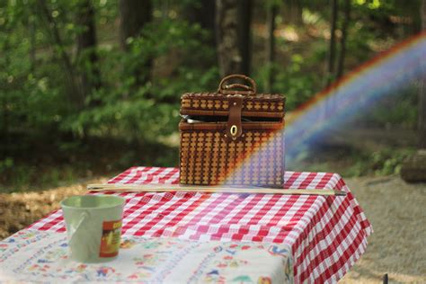 Free Images Table Bench Summer Autumn Park Rainbow Picnic