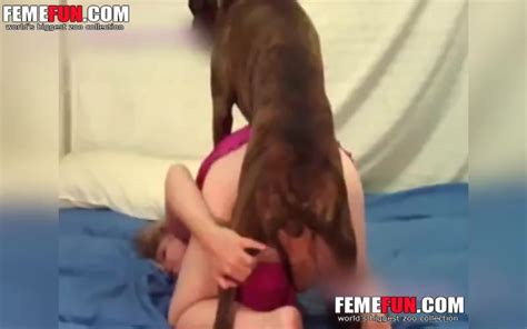 Girl Fulfills Xxx Fantasy Provoking Wonderful Dog To Fuck