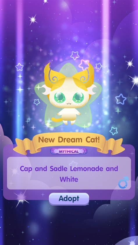Dream Cats Catalog