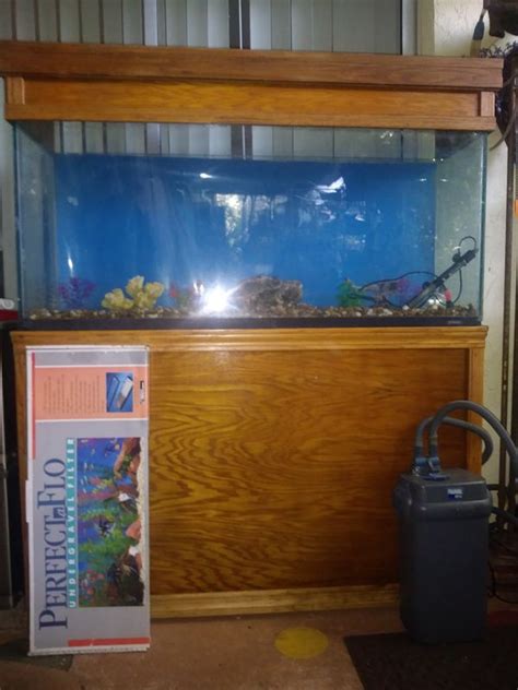 55 Gallon Aquarium With Custom Stand Andcanopy For Sale In Riviera Beach