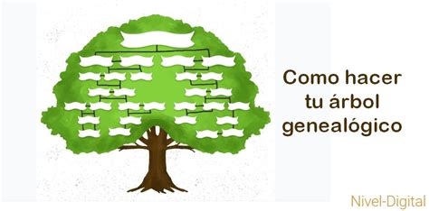 Para crear un árbol genealógico en word puedes usar plantillas de árbol genealógico o incluso diseñar tu propia plantilla. Como hacer un árbol genealógico en la computadora - Nivel ...