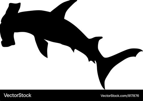 Hammerhead Shark Royalty Free Vector Image Vectorstock