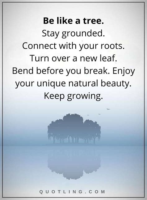 Life Lessons Be Like A Tree Stay Grounded Connect With Your Roots