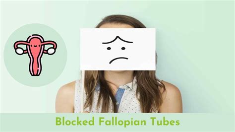 Blocked Fallopian Tubes Causes Symptoms Treatment Onp Hospitals
