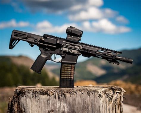 Ar 10 The Most Versatile Rifle That You Can Own Dane Ford Trust