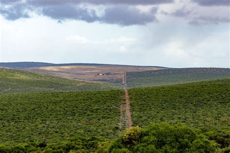 The Green Addo Landscape The Green Addo Is A Town In Sarah Baartman