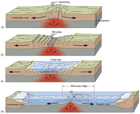 Formación De Un Nuevo Océano Geology Plate Tectonics Earth Science