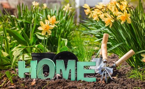 Cultivando Un Huerto Flores Hermosas De La Primavera Con Las Fuentes