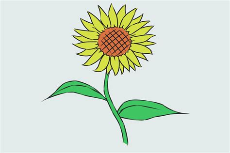 Risultati immagini per disegni semplici da colorare disegni da. Come Disegnare un Fiore (con Immagini) - wikiHow