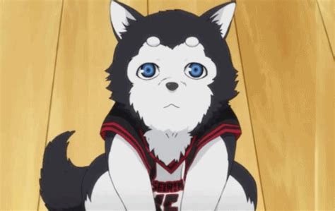 Đỉnh Nhất 82 Anime Dogs Siêu đỉnh B1 Business One