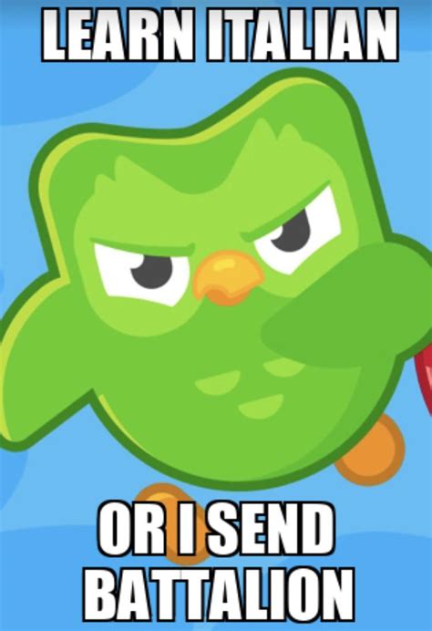 Duolingo Bird Meme Vobss