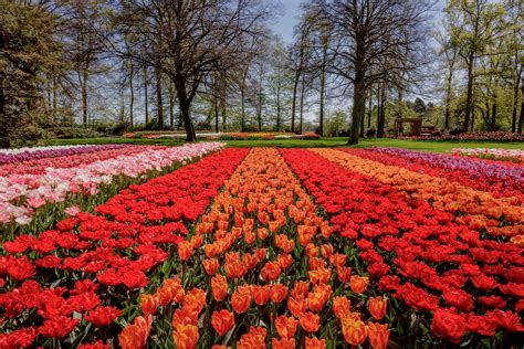 Keukenhof Gardens 2020 Most Beautiful Gardens Beautiful Gardens