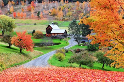 Fall Foliage At Farm Along Cloudland Road Vermont Charles Ford