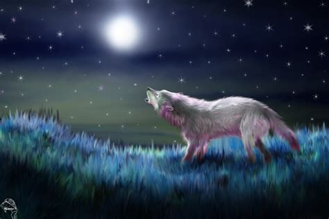 Landscapes Night Stars Animals Moon Moonlight Drawings Wolves 1500x1000
