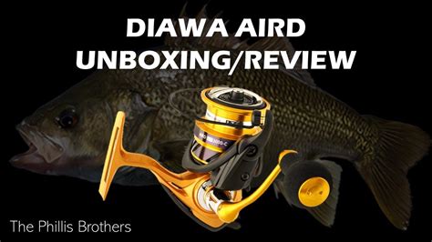 Diawa Aird Fishing Reel Unboxing Review Youtube