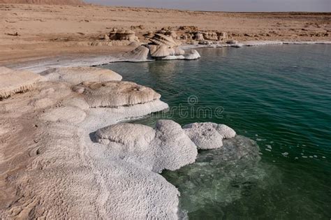 Unique Coastline Natural Salt Formations And Salt Patterns In The Dead