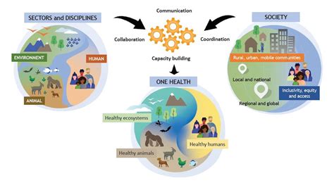 Unified Definition Of One Health Adopted By Global Animal Environment