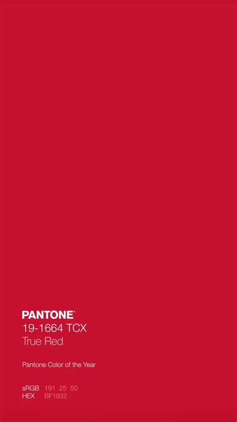 Due Lune In 2023 Pantone Color Chart Pantone Colour Palettes