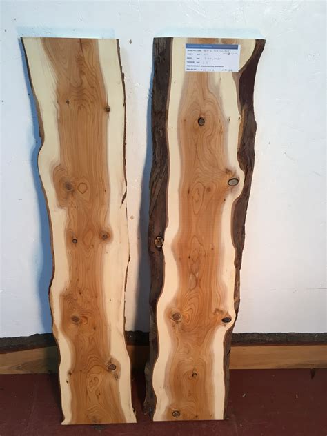 Yew Bundle Natural Waney Live Edge Slab Wood Boards