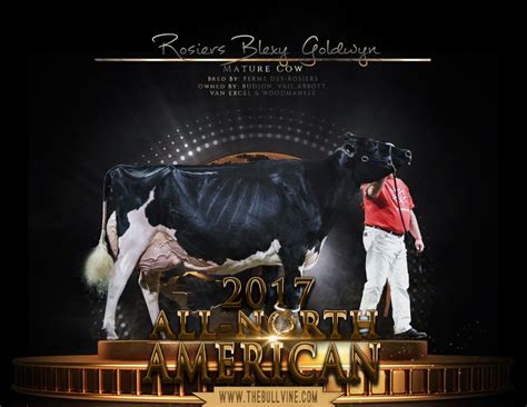 This winning holstein cow is owned by budjon, vail, abbot. 0