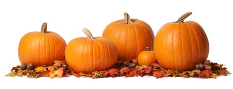Pumpkins Stock Photo Download Image Now Istock