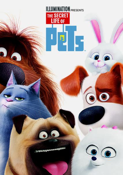 Rent The Secret Life Of Pets 2016 On Dvd And Blu Ray Dvd Netflix