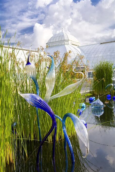Dale Chihuly At The New York Botanical Garden All The Glass Art If