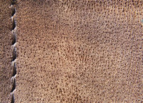 Leather Texture Close Up 2 Stock Photo Image Of Background 169696610