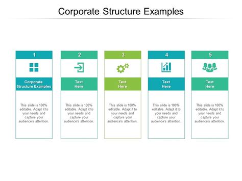 Corporate Structure Examples Ppt Powerpoint Presentation Infographic