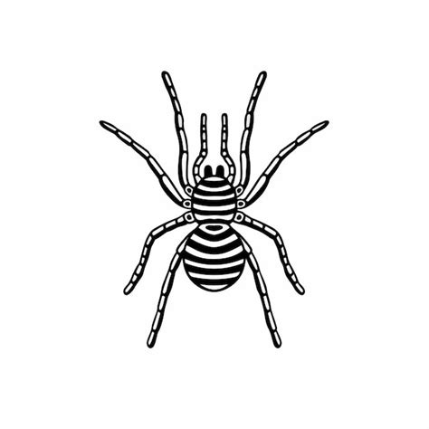 Tarantula Logo Symbol Stencil Design Tatuagem Ilustração Em Vetor