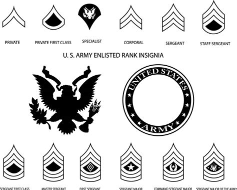 U S Army Enlisted Rank Insignia Vector Line Art File Black Inspire