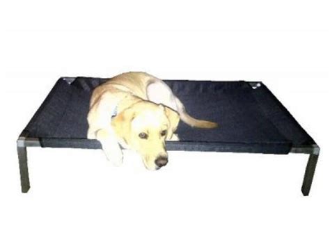Glory guesthouse offers bed & breakfast accommodation in oranjezicht, cape town, with magnificent views of table mountain. PET ASSIST Off the floor dog beds Cape Town - Ad Land ...