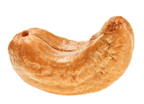 One Unshelled Roasted Cashew Nut On White Stock Image Image Of Brown