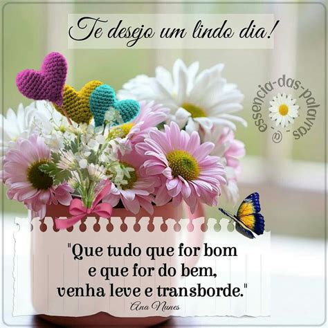 Bom Dia Meus Irmãos