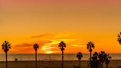 Palm Trees On Manhattan Beach At Orange Sunset In California Stock