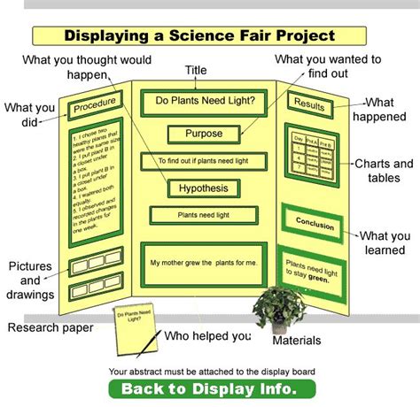 Science Fair Research Paper Example