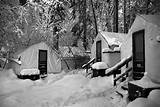 Yosemite National Park Curry Village Reservations Images