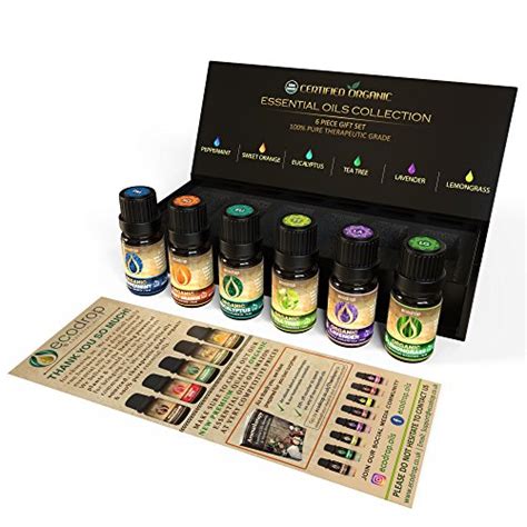 Top 10 Young Living Blend Essential Oils Of 2022 Best Reviews Guide