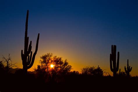 Just Another Sonoran Desert Sunrise Photograph By James Bo Insogna Pixels