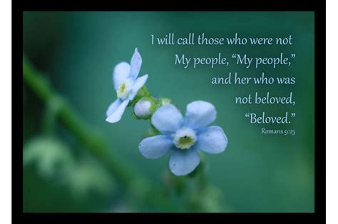 He said to them, because of your little faith. Bible Verse Art - Romans 9 verse 25 - Forget-Me-Not Flower ...