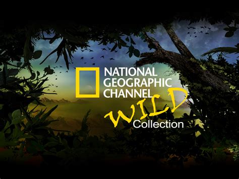 National Geographic Wild Channel Logo