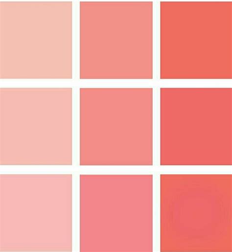 Introduzir 39 imagem paleta de cores rosa salmão br thptnganamst edu vn