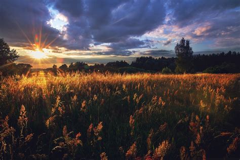 Russia Landscape Sun Rays Field Sunset Wallpapers Hd Desktop And