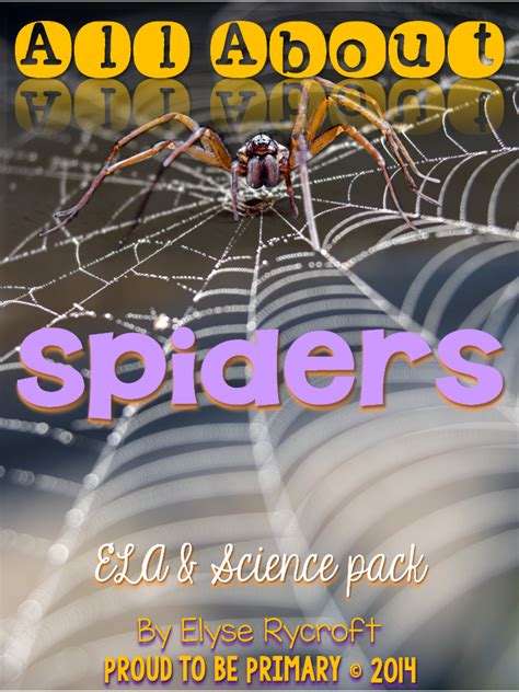 Proud To Be Primary All About Spiders Report Writing Spider Fact
