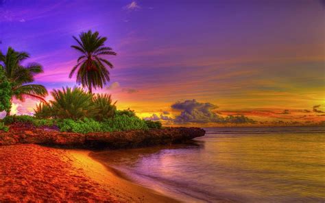 Sunrise Tropical Beach 15592 For Your Mobile And Tablet Explore